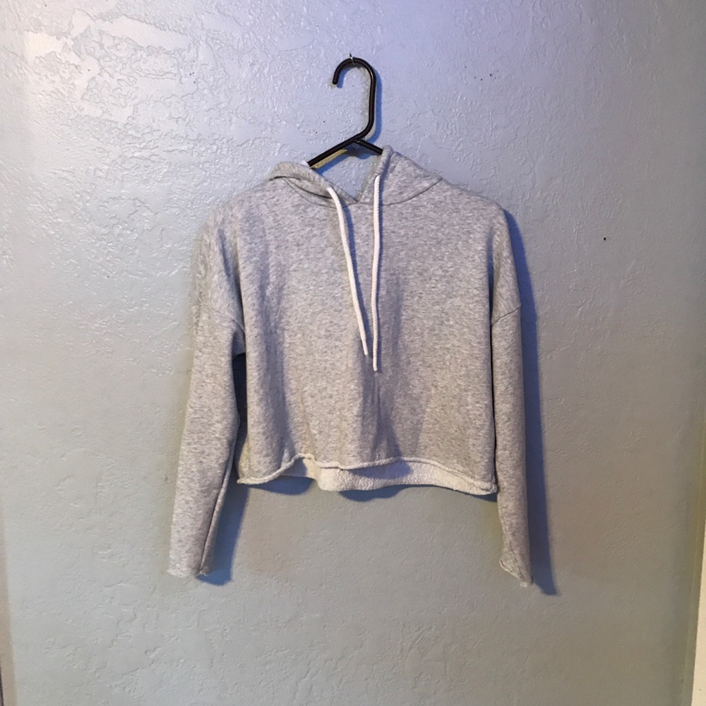 Aerie Grey Sweat Shirt Crop